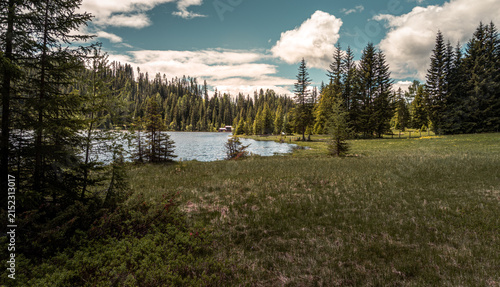 Idyllic lakescape surrounded by dense forest and lush green meadows in Austria