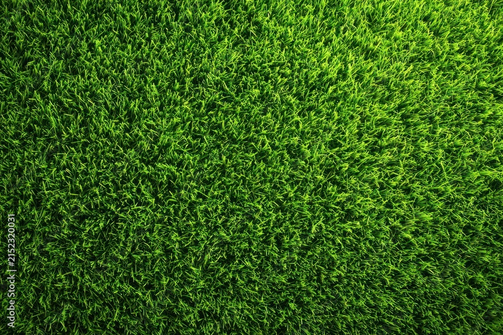 Obraz premium Lush green grass texture background.