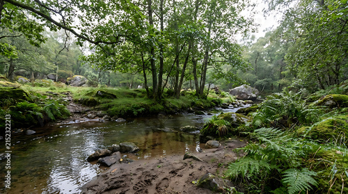 Tranquil Forest Stream: A serene stream meanders through a lush, green forest, surrounded by moss-covered rocks, vibrant ferns, and mature trees. Sunlight filters through the canopy.
