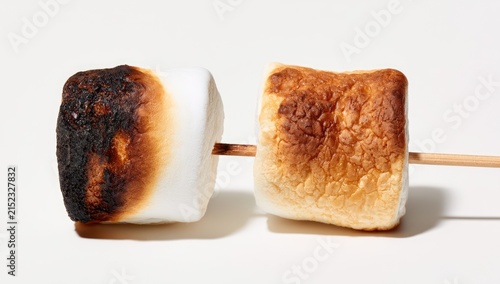 Two Marshmallows on a Stick One Burnt One Golden Brown.