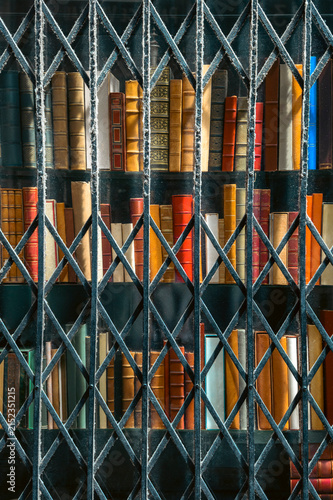 A row of colorful vintage books displayed on the shelves behind a closed metal security gate or grate. Vertical color photo