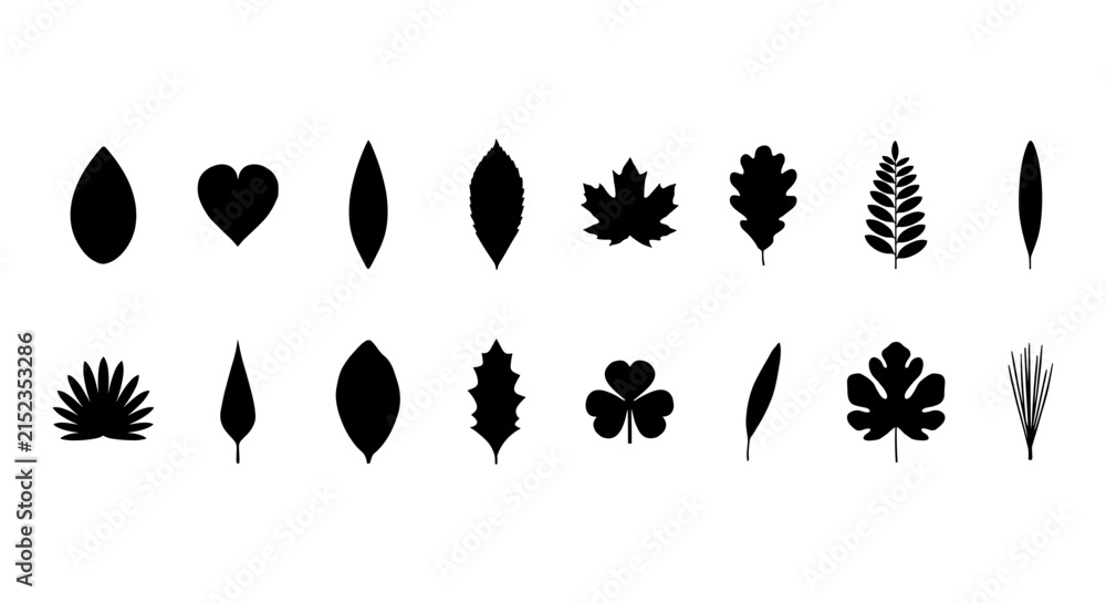 Obraz premium Set of black leaf silhouettes vector icons various tree leaves and foliage shapes collection