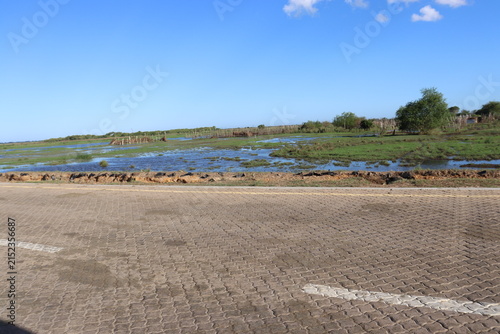 Scenic rural wetland and agricultural landscapes featuring shallow floodwater, green grasslands, open fields, dirt roads, palm trees and expansive blue skies. The images capture peaceful countryside