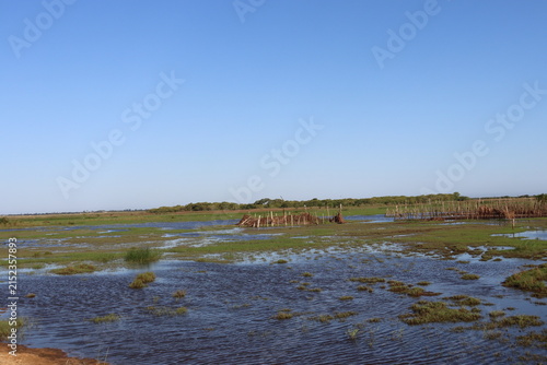 Scenic rural wetland and agricultural landscapes featuring shallow floodwater, green grasslands, open fields, dirt roads, palm trees and expansive blue skies. The images capture peaceful countryside