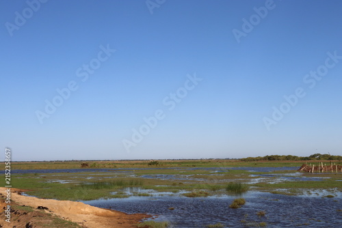 Scenic rural wetland and agricultural landscapes featuring shallow floodwater, green grasslands, open fields, dirt roads, palm trees and expansive blue skies. The images capture peaceful countryside