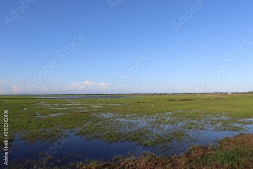 Scenic rural wetland and agricultural landscapes featuring shallow floodwater, green grasslands, open fields, dirt roads, palm trees and expansive blue skies. The images capture peaceful countryside