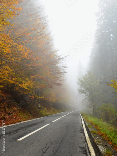 Thick fog on an autumn day on the road crossing the Carpathians, amidst the autumn foliage, in Harghita, Transylvania.