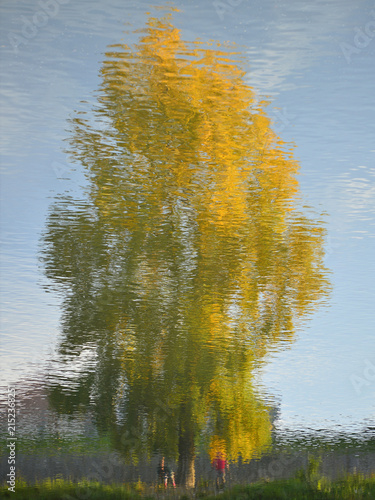 The reflection of a tree in its autumn colours on the surface of the lake creates an amazing abstract image.
