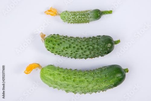 Cucumbers on a white background. Vegetables on a white background.