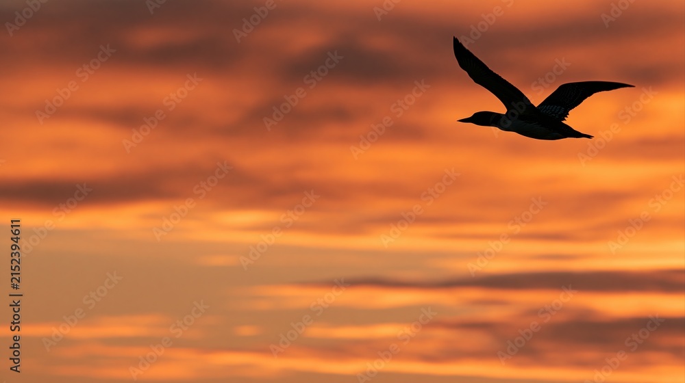 Fototapeta premium Black bird silhouette soaring through dramatic orange and red clouds at dusk