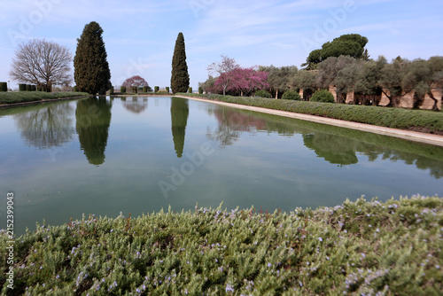 Cuadro en lienzo Ampia vasca d'acqua monumentale del Pecile a Villa Adriana a Tivoli con cipressi