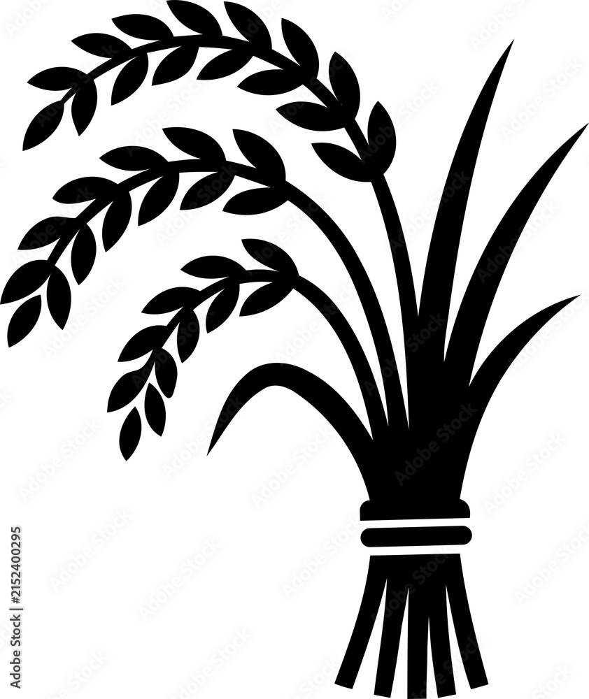 Fototapeta premium Black rice plant icon silhouette isolated on transparent background