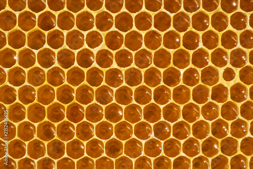Nectar and honey from sunflower flowers.
It has good healing effects.
