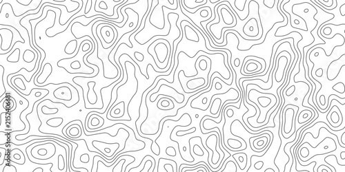 Bild auf Leinwand Abstract modern topographic line art background, fine linear pattern showing land elevation and altitude, for website, header and print layout