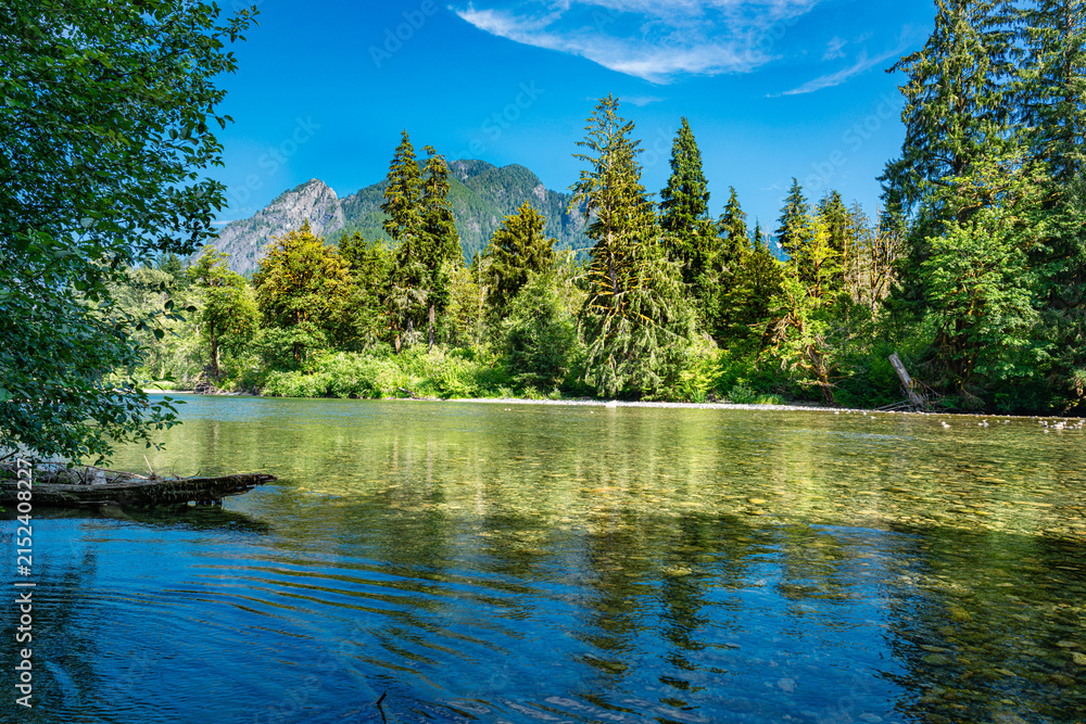 Fototapeta premium Northwest River Landscape 4
