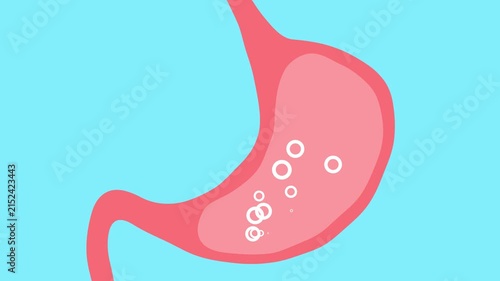 Stomach line icon medical outline symbol. Flat line stomach gastric icon