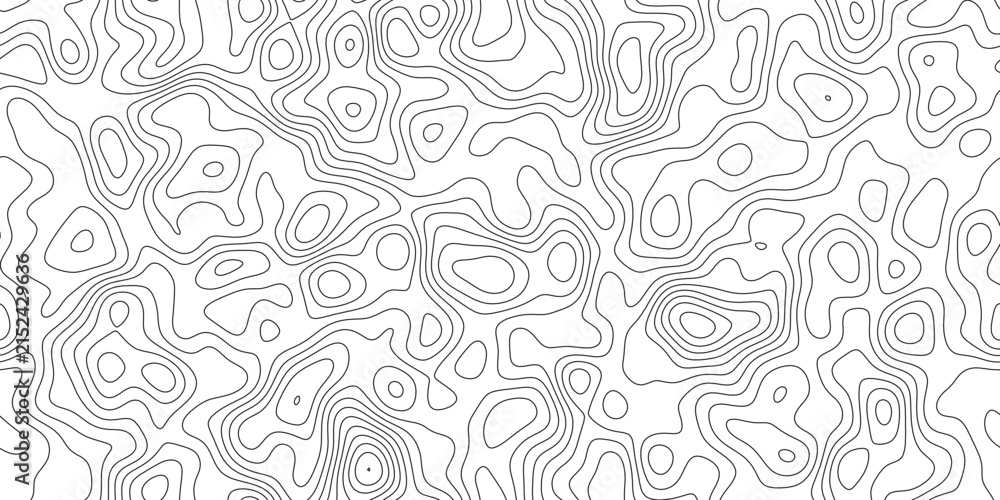 Fototapeta premium Modern topographic relief line background, abstract detailed elevation lines with organic curves, for card, label and packaging design.