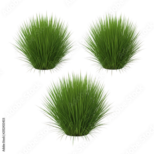 Three green grass clumps isolated on a simple plain