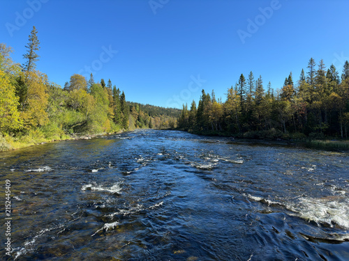 River flowing through autumn forest under a clear blue sky in Jamtland, Sweden
