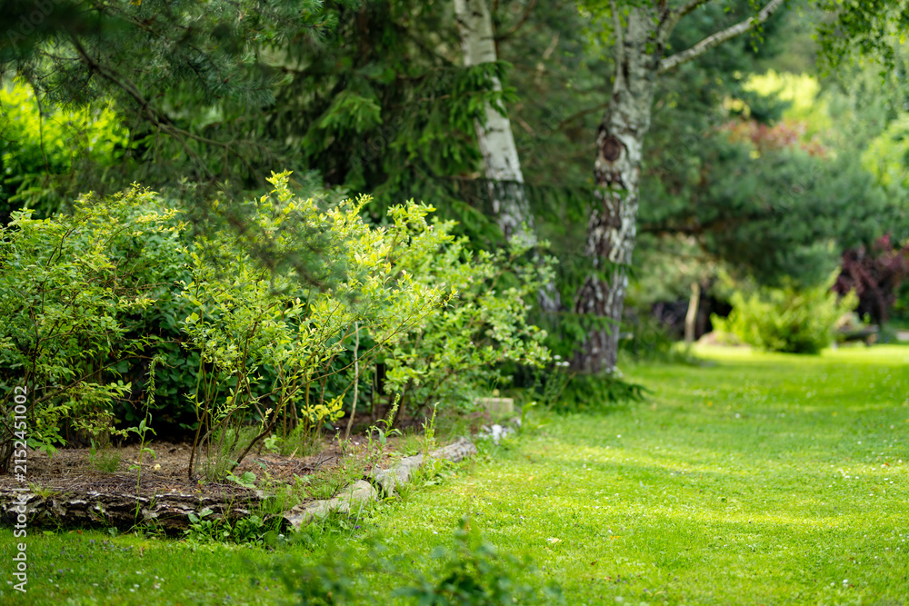 Obraz premium Lush landscaped garden with green lawn, mature trees and ornamental shrubs around a country home. Peaceful summer backyard creates a well maintained natural outdoor living space.