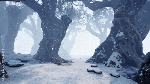 Walking along a snowy path among old trees.