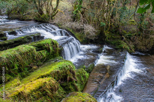 Obraz na plátně Flowing water at Fowley’s Falls, County Leitrim, Ireland, dividing across moss-covered limestone ledges and rocky channels surrounded by lush woodland along the Glenaniff River