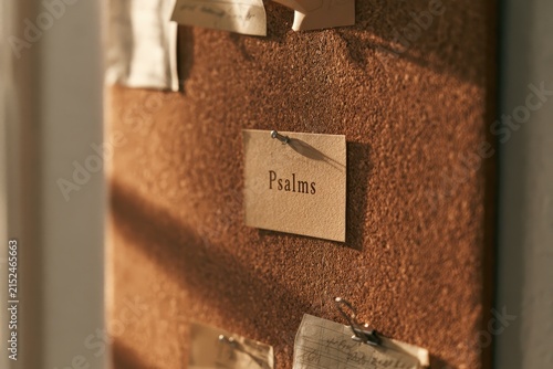 Warm-toned cork bulletin board displaying the word Psalms on a paper slip