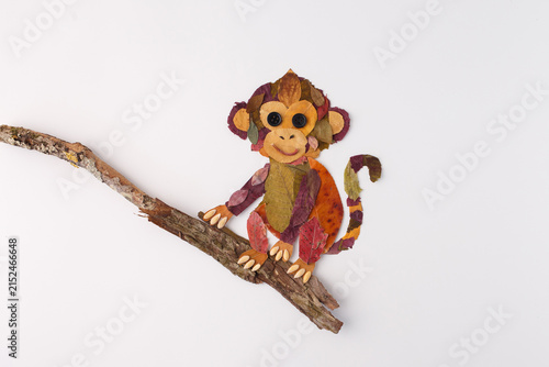 Photography Fall leaf monkey artwork on wood branch useful for children book publisher, educ