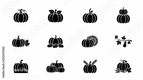 Black and white autumn harvest pumpkin collection with botanical accents vector design with minimalist grid seasonal autumn designs harvest themes