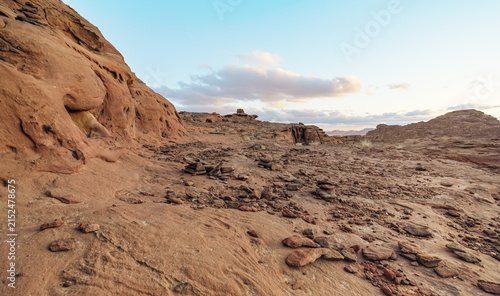 Barren rocky desert landscape in Wadi Rum, only few dry shrubs growing in arid terrain, afternoon sky background