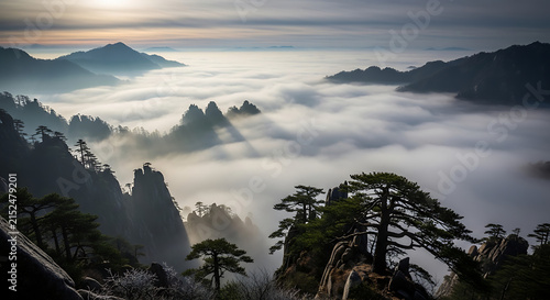 Misty mountains with pine trees during sunrise with serene light and atmospheric clouds