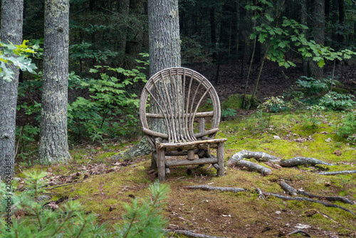 Rustic twig chair in the woods. Carl Sandburg Home National Historic Site. It is necessary for a man to go away by himself and experience loneliness. Appalachian Blue Ridge mountains. 