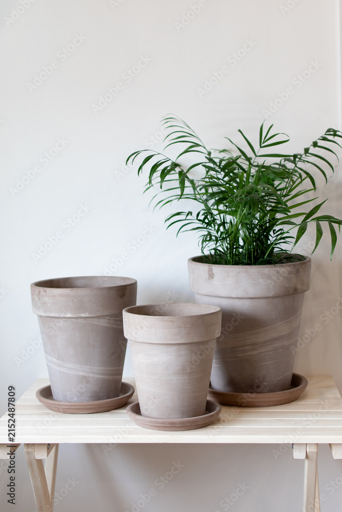 Fototapeta premium Minimalist ceramic pots sit neatly on a light wooden table