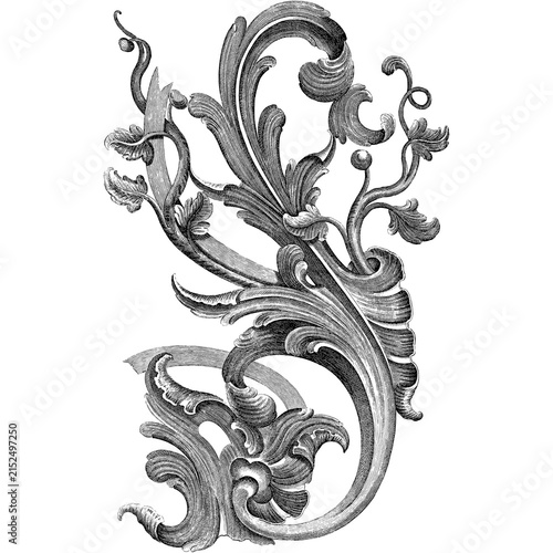 Fotografie Vintage ornate floral scroll design element in baroque engraving style, isolated