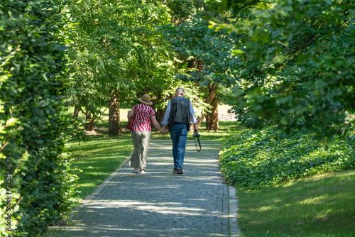 An elderly couple strolls hand in hand along a cobblestone path beneath a canopy of green trees. Dappled sunlight falls across the quiet park pathway.