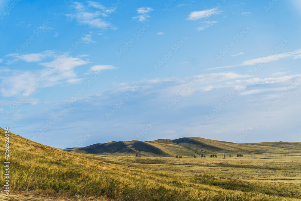 Fototapeta premium Golden steppe hills under a vast blue sky with wispy clouds.