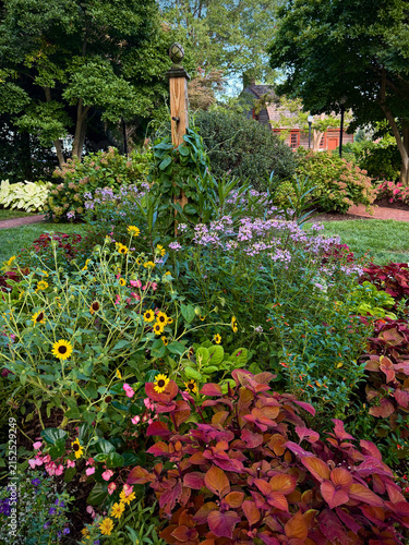 Foto Summer Garden