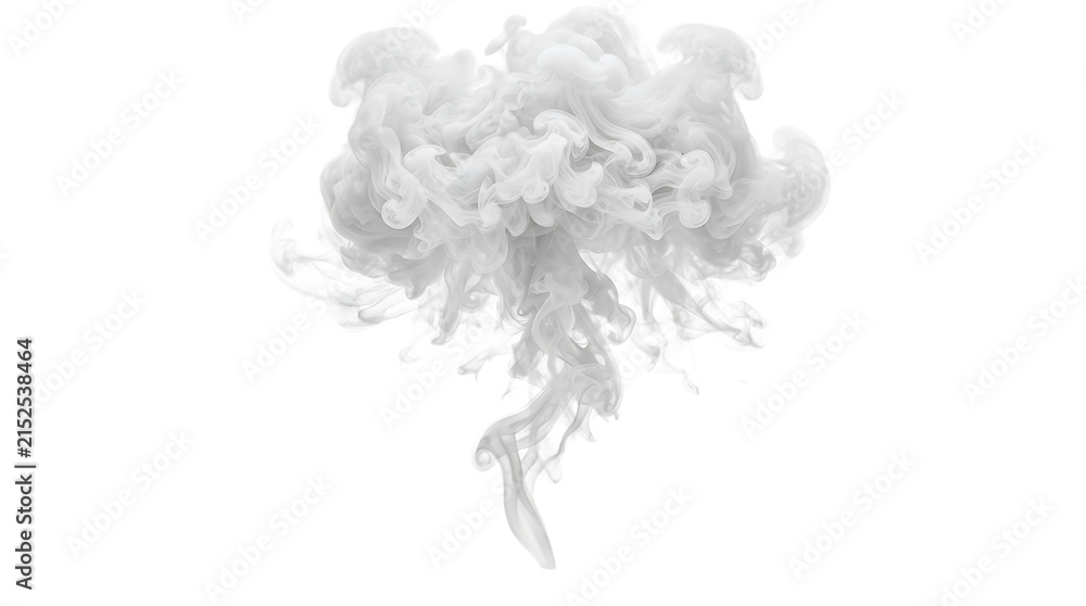 Fototapeta premium A thick cloud of white smoke swirling and expanding against a solid transparent background, abstract gaseous vapor plume, soft ethereal texture isolated on a transparent background
