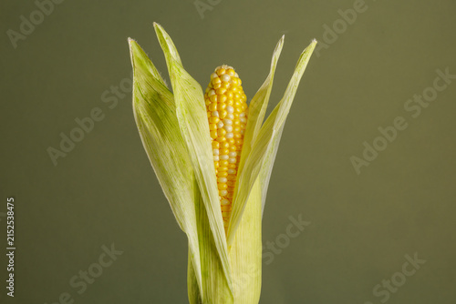 Quadro su tela Fresh ear of corn in husk isolated on green background