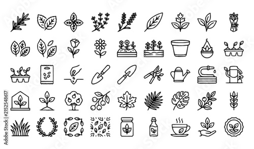 Garden Plants and Herbal Leaves Linear Icon Collection – Editable Botanical Vector