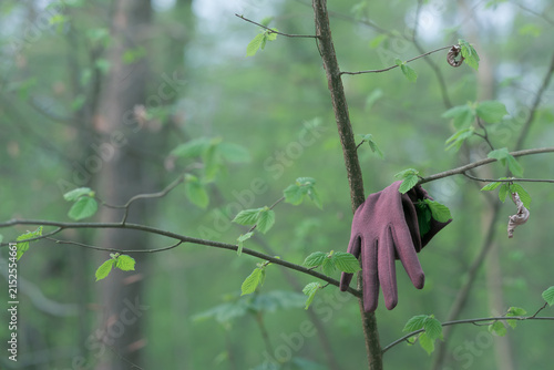 A pink glove left in the woods