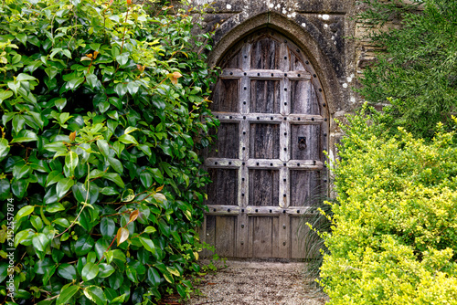 Antique Gothic Arched Wooden Door and Garden Hedges