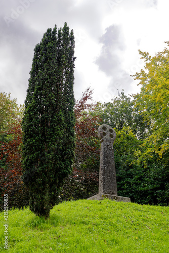 Ancient Stone Celtic Cross and Irish Yew Tree on Grassy Mound