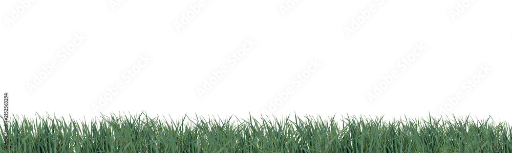 Fototapeta premium A crisp horizontal border of fresh green spring grass element cutout PNG on transparent background. Ideal for nature, ecology, garden, or summer design projects and overlays.