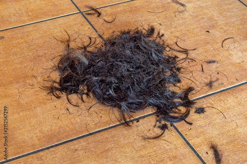 Fallen hair cut with small pieces of dandruff on ground.