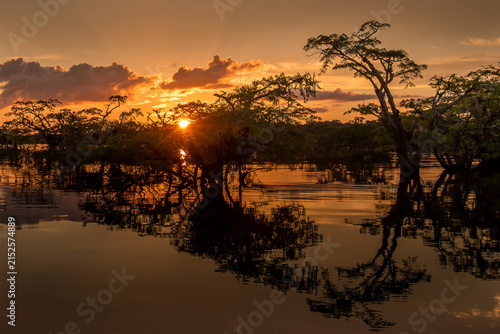 Laguna Grande, Cuyabeno Wildlife Reserve, Ecuador, beautiful orange sunset, silhouette of macrolobium acaciaefolium trees