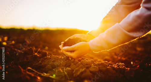 A farmer's hands check the soil quality in a field at sunset. An agronomist demonstrates connection with the earth at sunset. Farming concept, inspection.