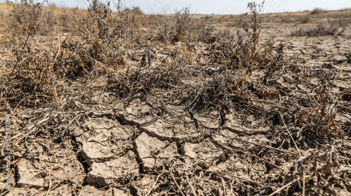 Dry soil texture lacks water in the dry season.