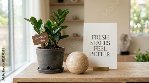 Green potted zamioculcas plant sits on a wooden table beside a decorative stone marble sphere and a white card displaying the quote fresh spaces feel better within a bright minimalist