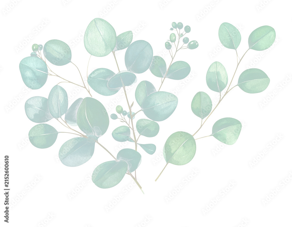 Fototapeta premium A watercolor illustration of a delicate eucalyptus bouquet wit 7816a5adf504
